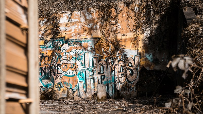 long shot of textured urban wall with plants and graffiti lettering, graffiti on abandoned building 4k