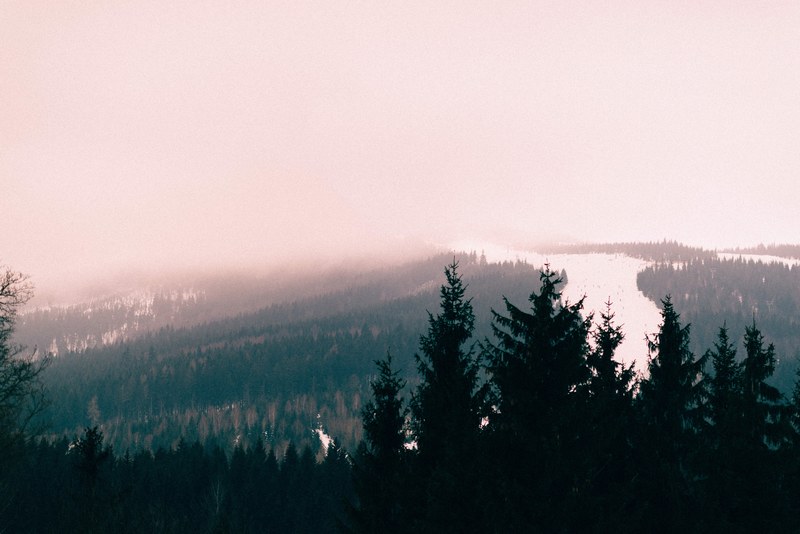 a pink haze over evergreen woods on a winters day, sunrise in mountains 4k