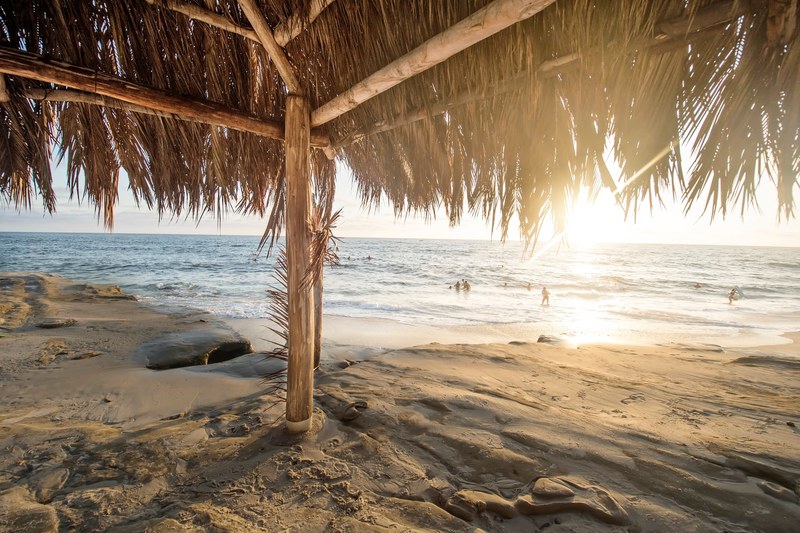 a hot from underneath a palm umbrella on san diego beach of people playing in the distant sea, surf shack 4k