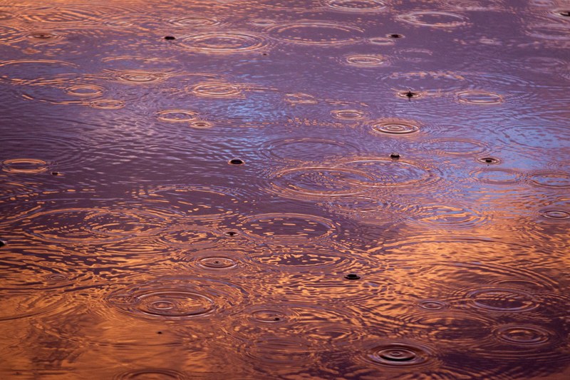 water rain rain drop and raindrop 4k