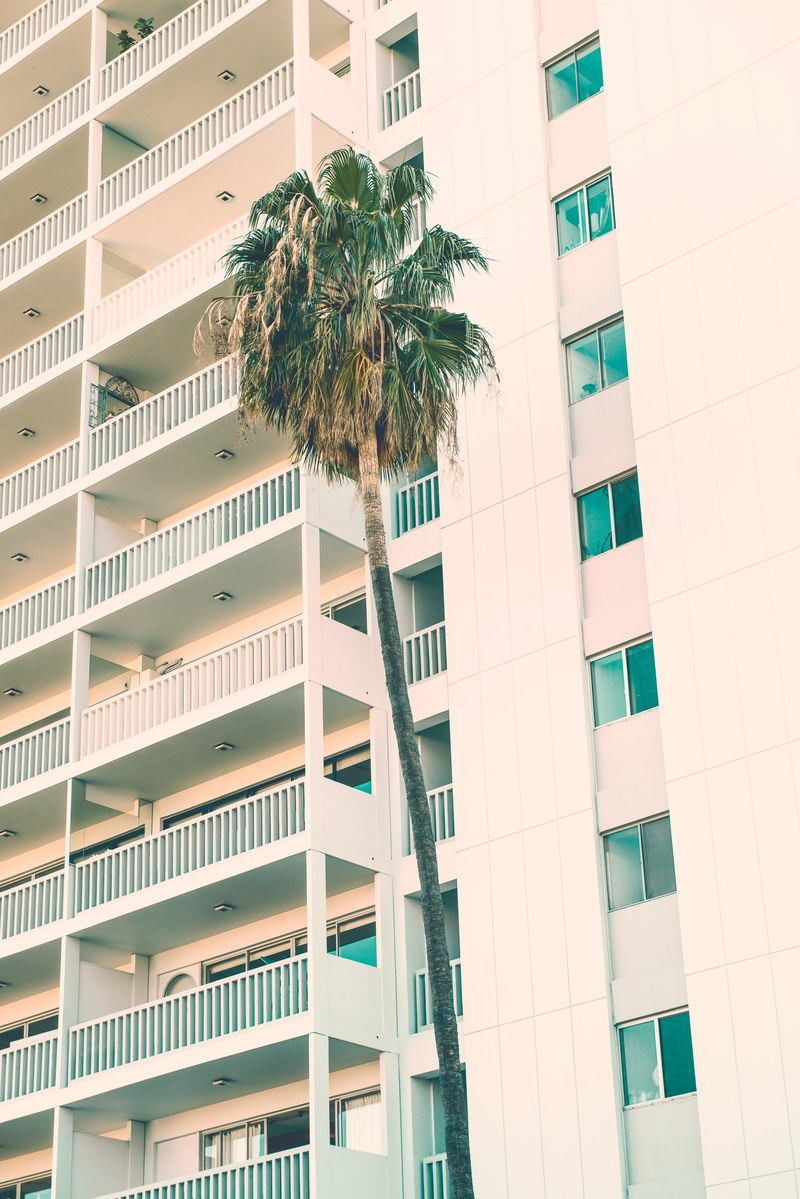 palm tree palm balcony and hotel hd, 4k