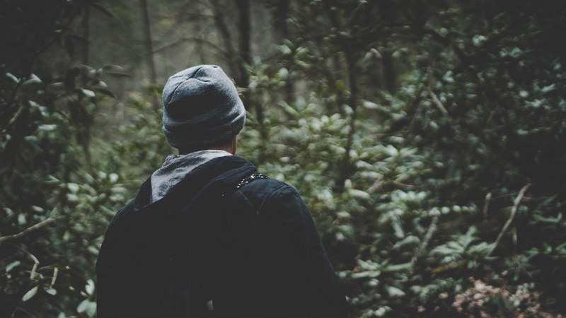 a man in a beanie walking through dense green thicket in south mountain park, adventure 4k