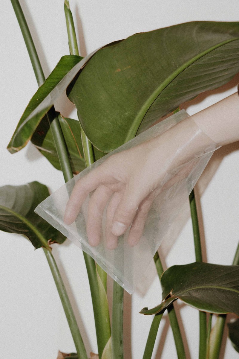 leaf plant hand and plastic hd, 4k