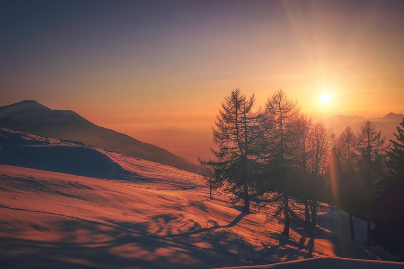 silhouette trees on a snowy mountain slope in monte biaena the sky is yellow and the snow colored red from sunrise or sunset, winter at monte biaena 4k
