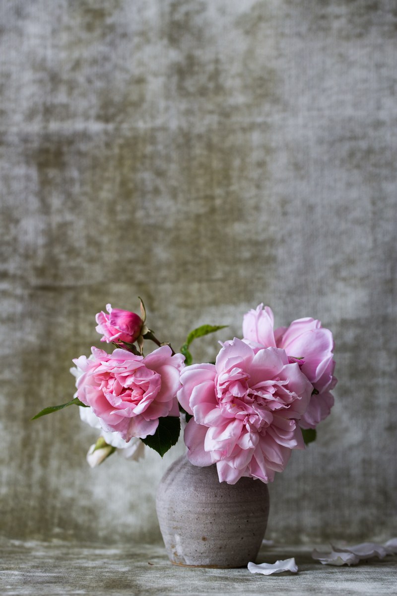 mini pink flower bouquet in gray vase with textured wall background in spring, peony vase 4k