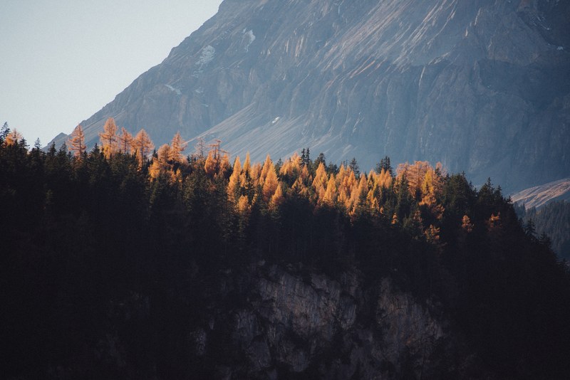 an autumn forest on top of a rocky hill at the foot of tall mountains in kandersteg, forest on a rocky hill 4k