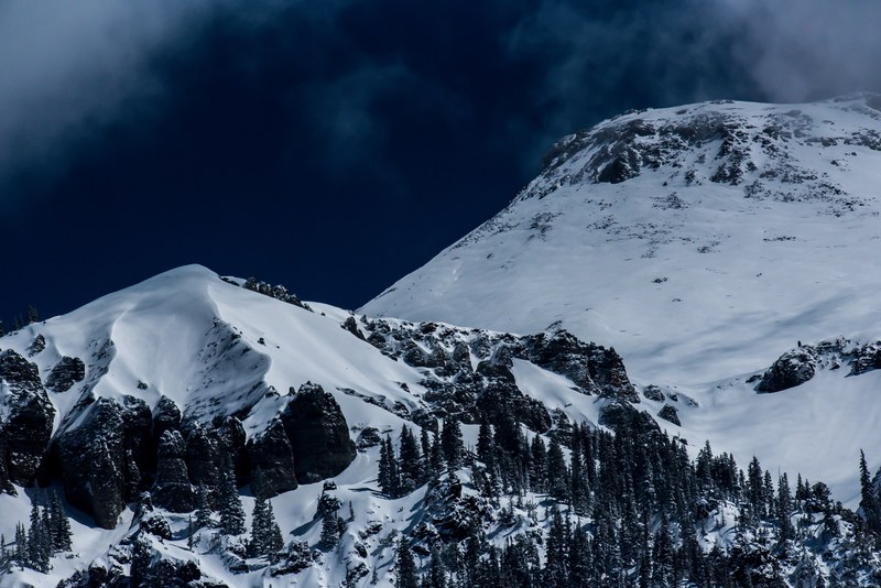 alpine forest at the foot of the mountains of ouray, alpine forest ouray 4k