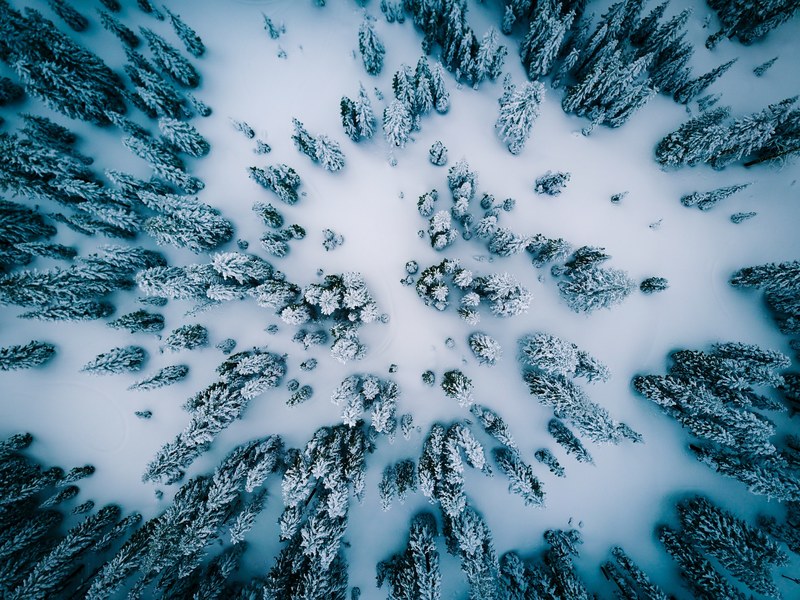 winter is here 4k