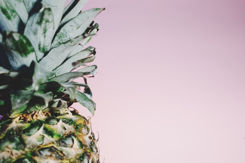 spines and green top of a fresh pineapple on a pink background, fresh fruit 4k