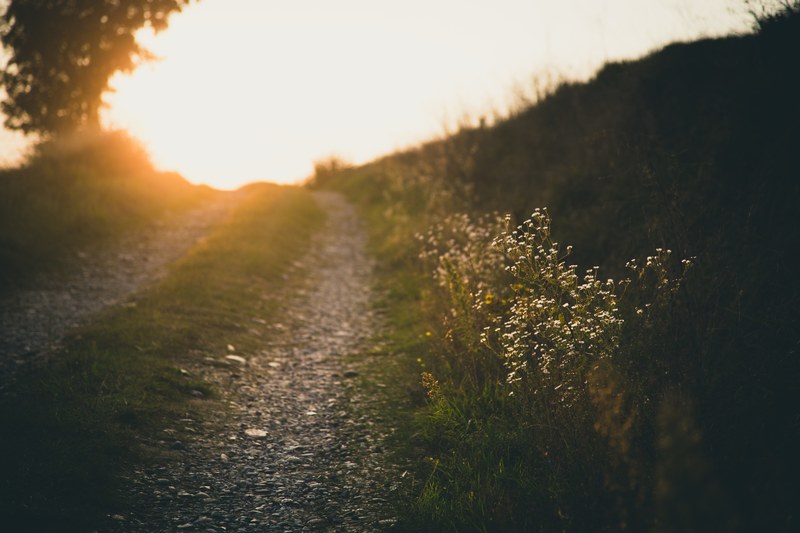 a view of the ground on a wide path with sunlight in the background, walking up an outdoor path 4k