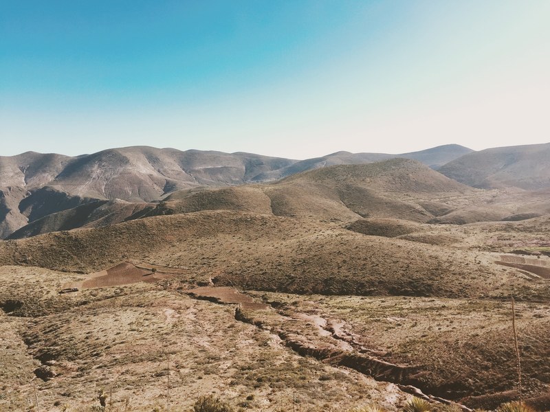 a hilly desert landscape with sparse shrubs under an azure sky, shrubs on desert hills 4k