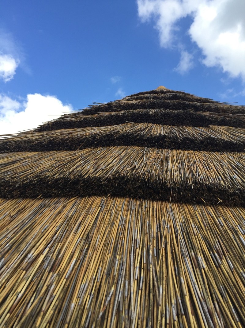 reed roof sky and thatch hd, 4k