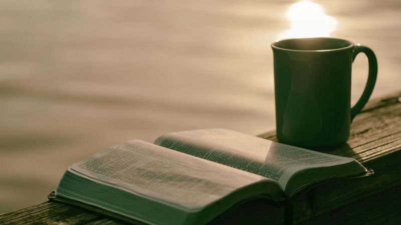 cup, book, reading, 4k