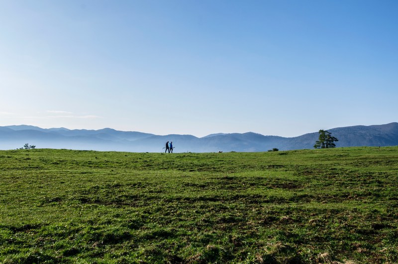 walk stroll grass and field 4k