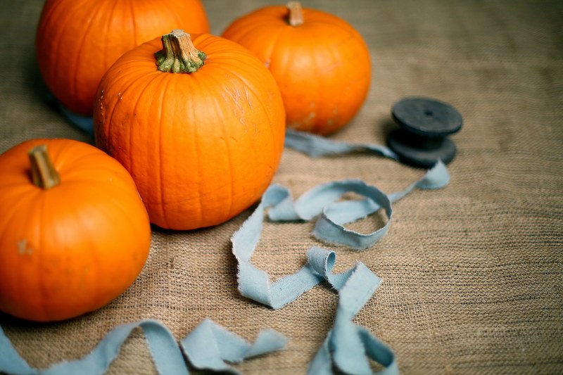 a collection of seasonal pumpkins and a ribbon in scotland, pumpkins and ribbons 4k
