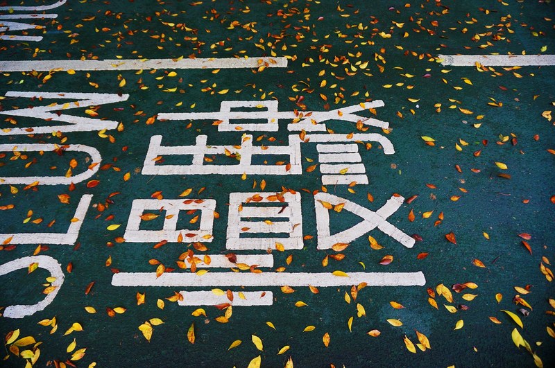 pavement fallen leaves pavement marking and road 4k