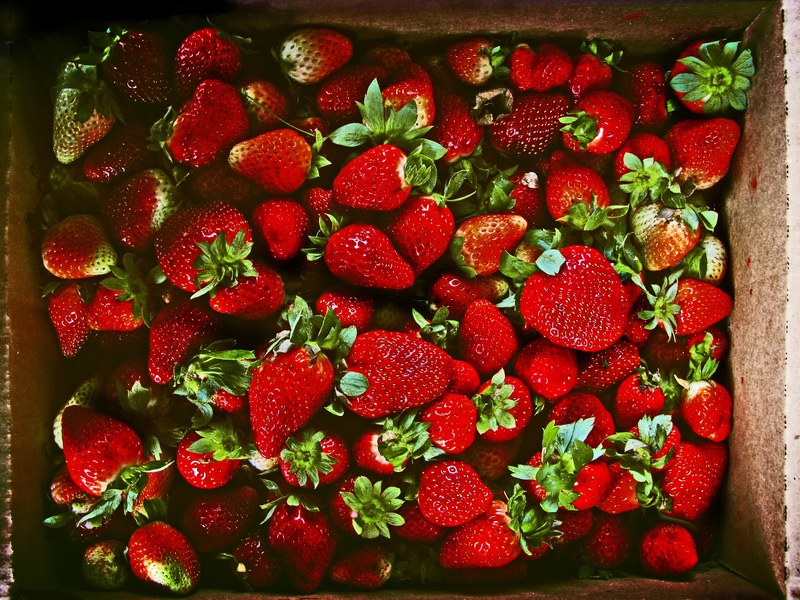 box of fresh red strawberries ready to eat, box of strawberries 4k