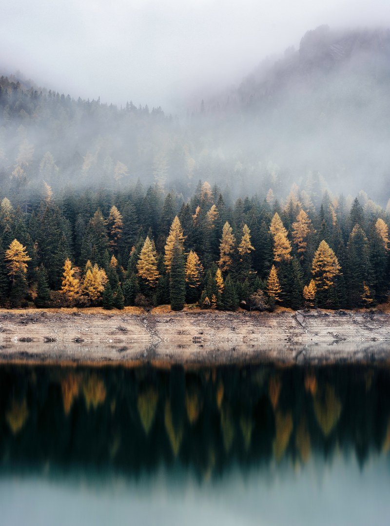 view on a coniferous forest across a lake, autumn woods across the lake 4k