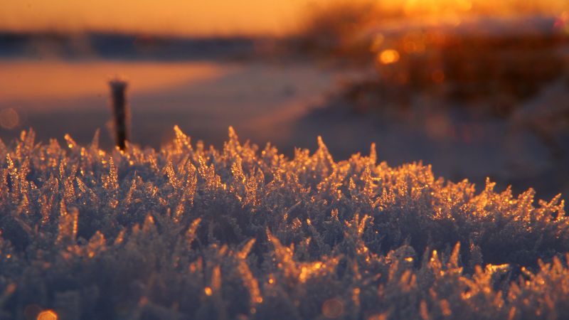 frost, frosty, shine, 4k
