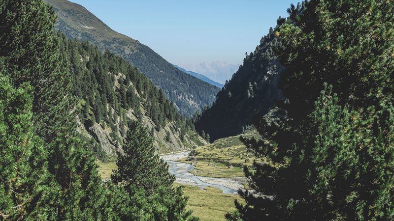 mountains, trees, summer, grass, 4k