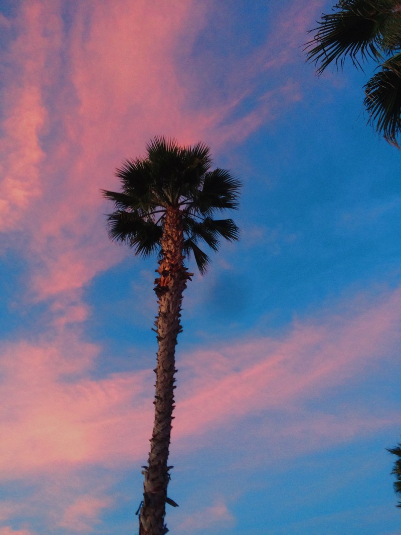 pink huntington beach sunset and beach hd, 4k