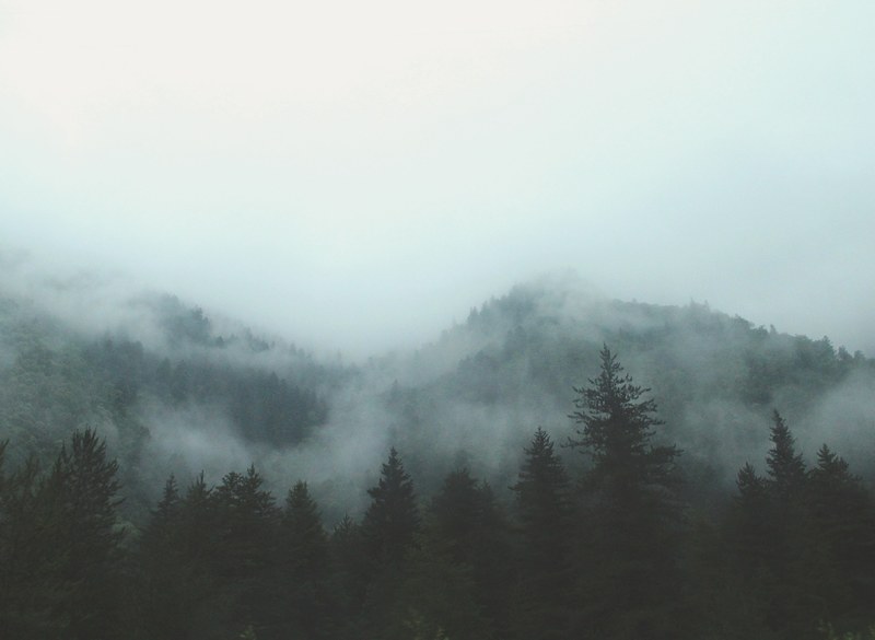 cloud mountain overcast and forest 4k