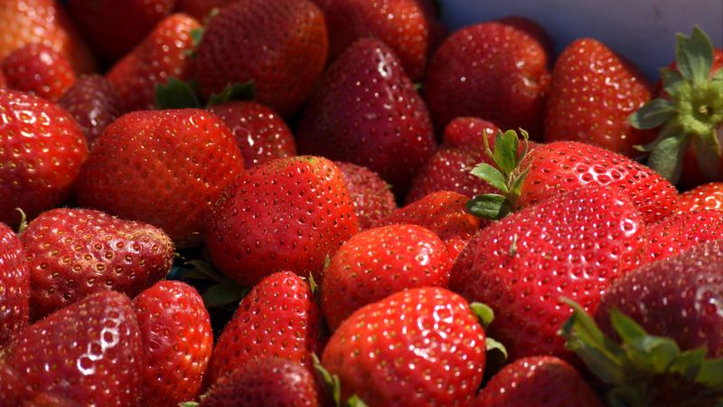 strawberries, berries, ripe, sweet, 4k
