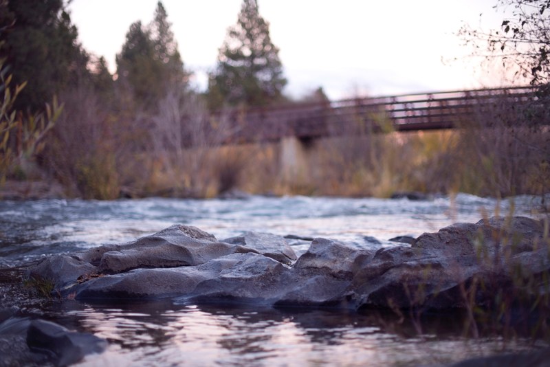 a series of smooth rocks in a calm river with a bridge in the background, smooth rocks under a bridge 4k