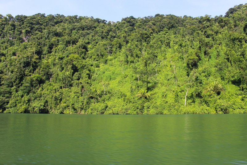 steep wooded hills over green hued water in ro dulce, green ro dulce 4k