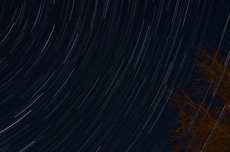 star trails over the trees at night, startrails 4k