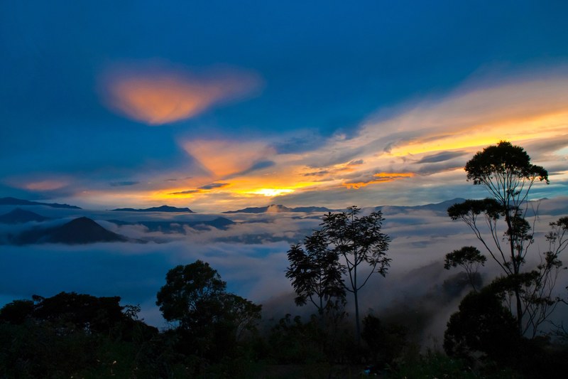 cloud tree sunrise and sunset 4k