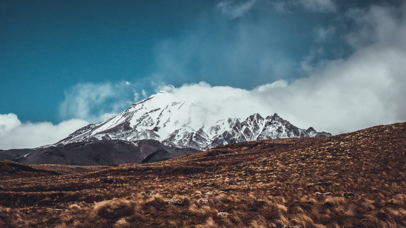 a grassy field near a snow covered mountain in tongariro national park, ascent of tongariro 4k