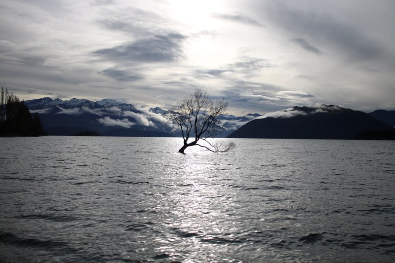 wanaka new zealand snowcap and mountain 4k