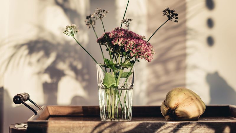 flowers, glass, vase, 4k
