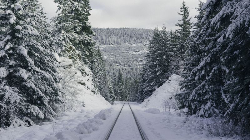 path, forest, winter, mountains, 4k