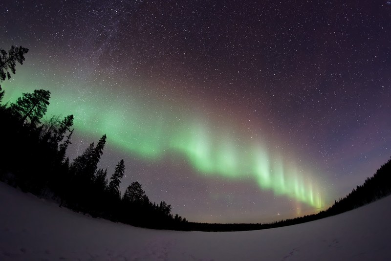 northern light aurora boreali night sky and night 4k