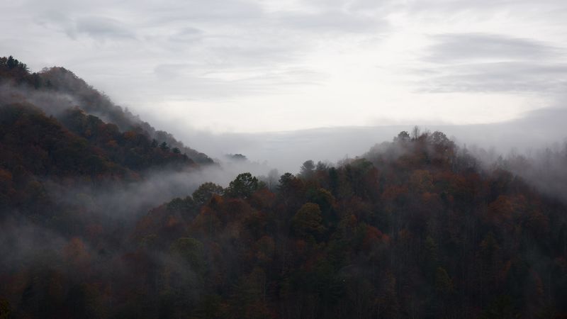 trees, fog, mountains, sky, 4k