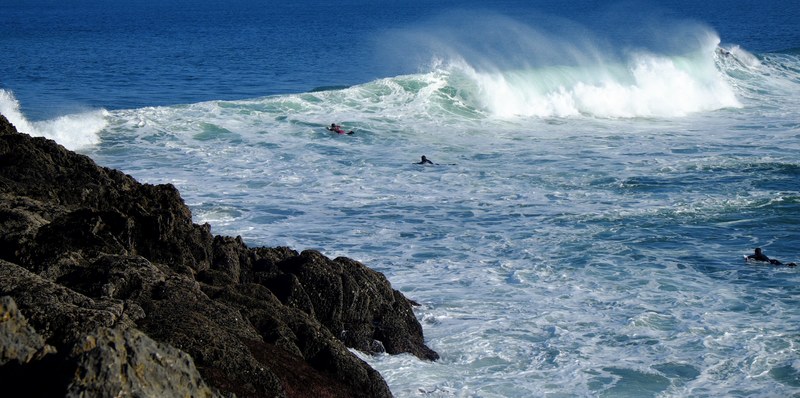 sport surf surfer and sea 4k