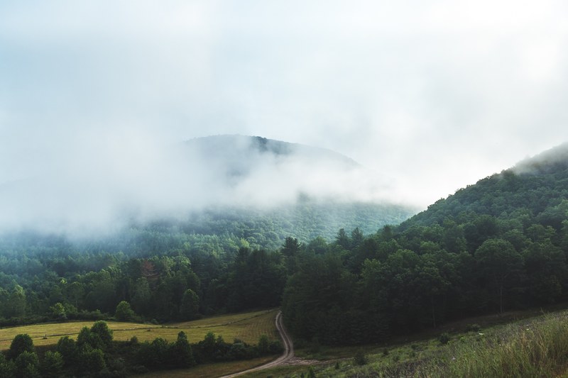 a tall wooded hill shrouded in mist, mountain haze 4k