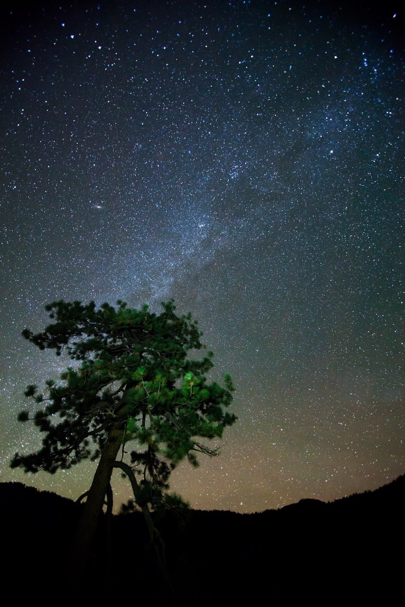 camping long exposure night and tree hd, 4k