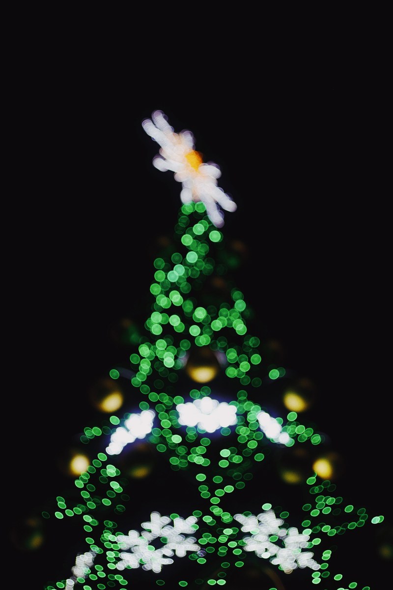tree christmas tree lights and green hd, 4k