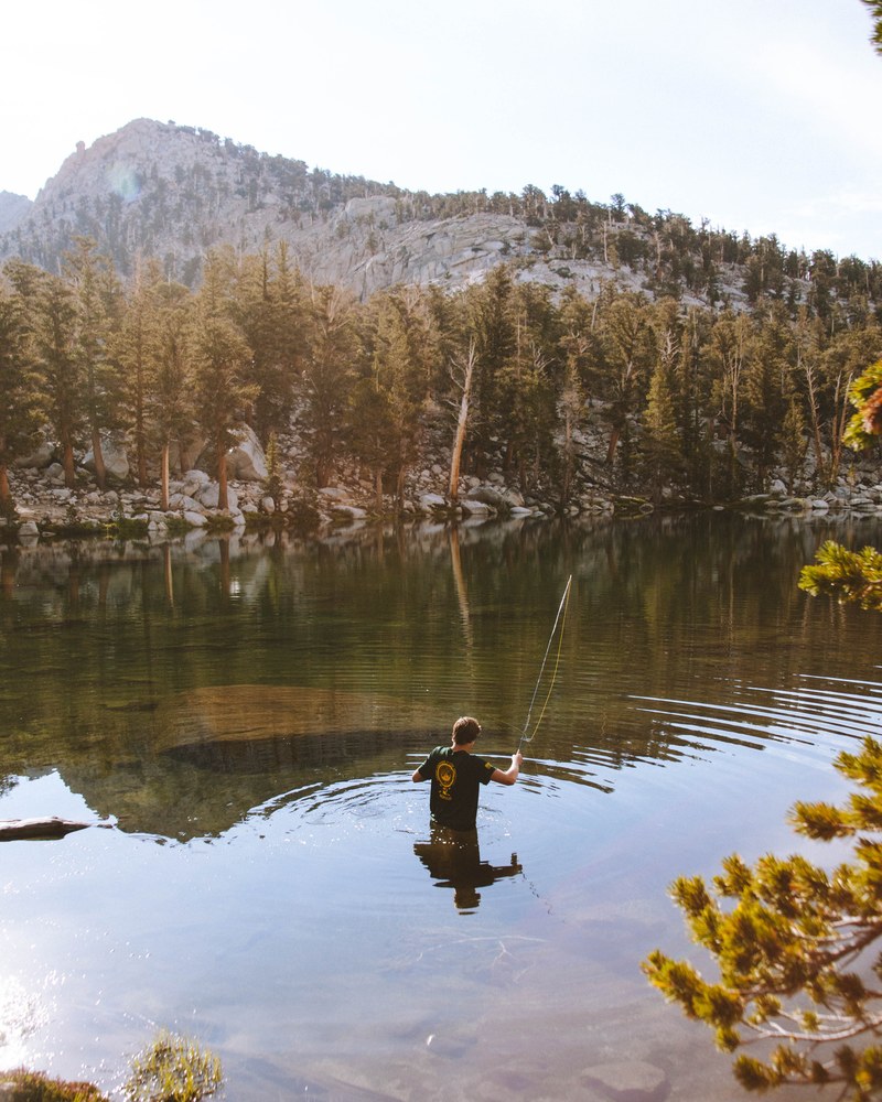 a man with a fishing road standing in waist high water in little claire lake, fisherman in a mountain lake 4k