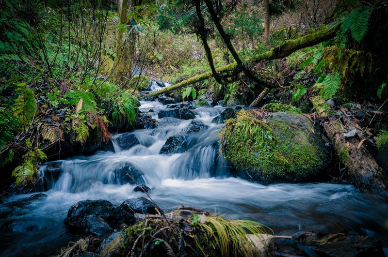 waterfall rock tree and river 4k