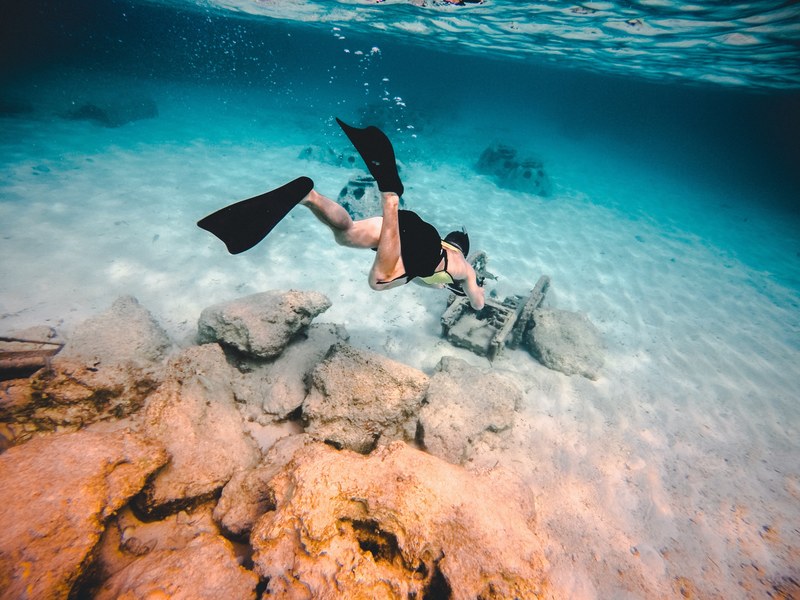 bahamas snorkel 4k