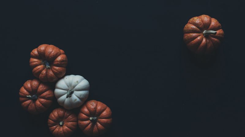 pumpkin, vegetables, dark, 4k