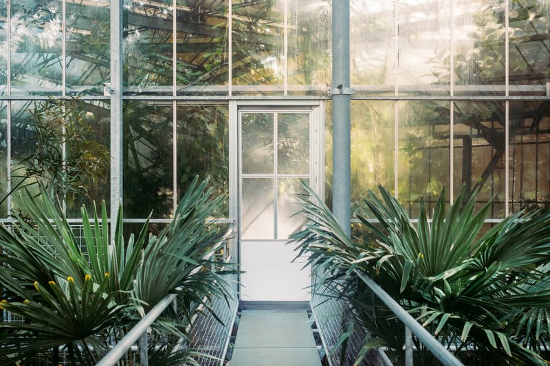 greenhouse glasshouse conservatory and plant 4k
