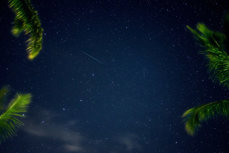 long exposure shot looking up through palm trees at the star studded night sky at makena beach, night sky at makena beach 4k