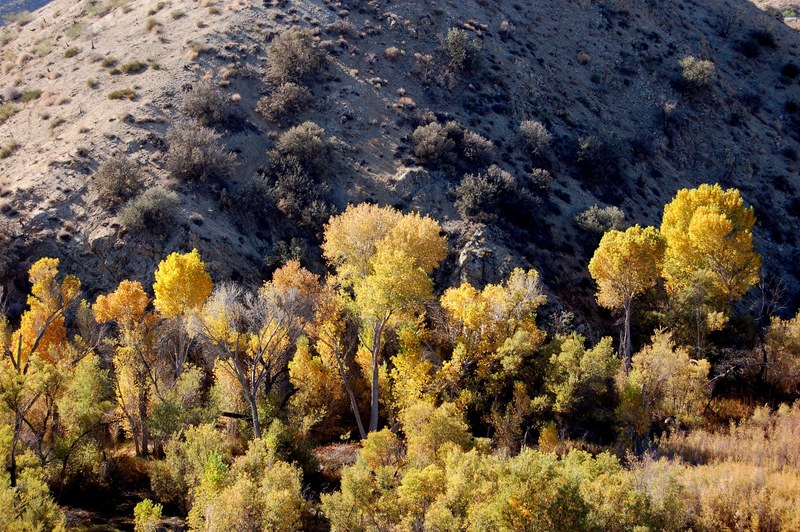 big morongo canyon preserve 4k