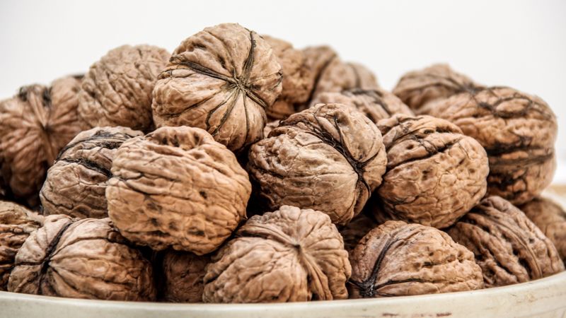 walnuts, shells, ripe, 4k