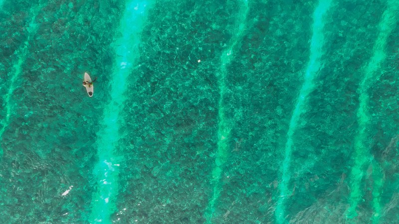 an overhead drone shot of a solitary surfer paddling the calm green waters at male maldives, surfer in the calm sea 4k